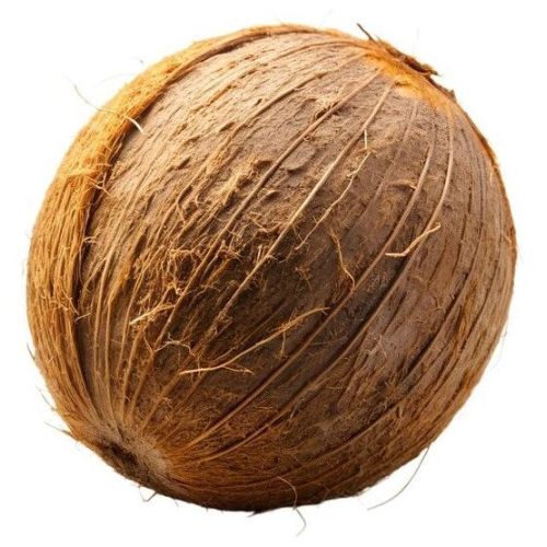 Farm Fresh Semi Husk Coconut