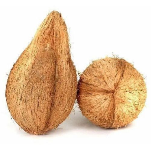 Mature Round Semi Husk Coconut