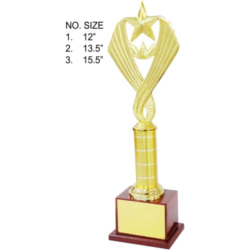 Golden Star Metal Award