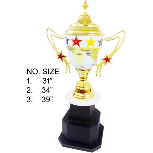 International Victory Sports Cup