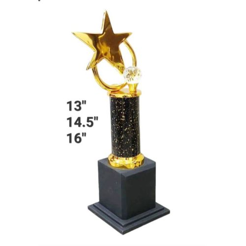 Meridian Crystal Accent Star Trophy
