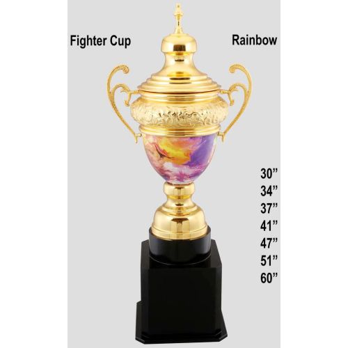 Rainbow Scroll Handle Sports Cup