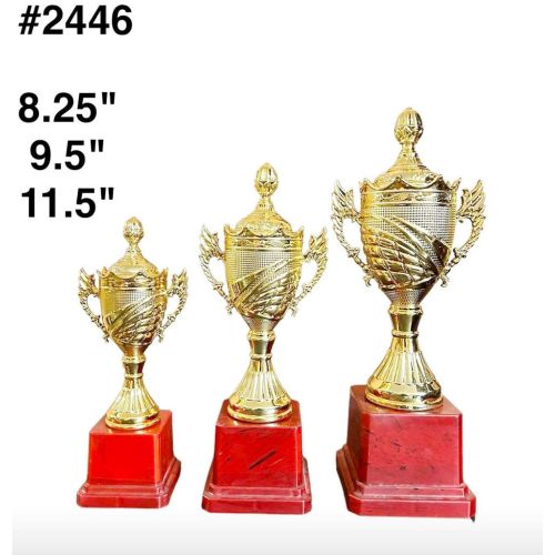 Tournament Plastic Trophy