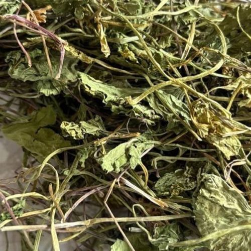 Dried Brahmi Leaves