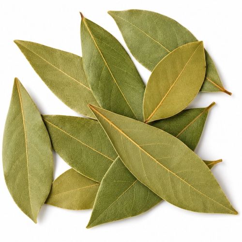 Dried Bay Leaves