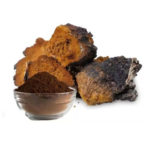 30% Chaga Mushroom Extract