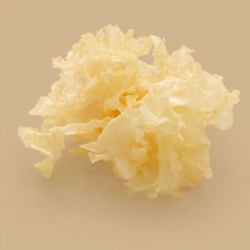30% Snow Mushroom Extract