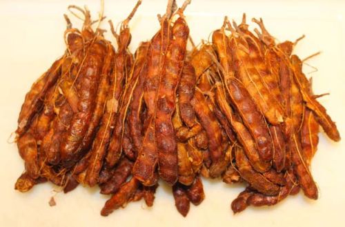 Tamarind