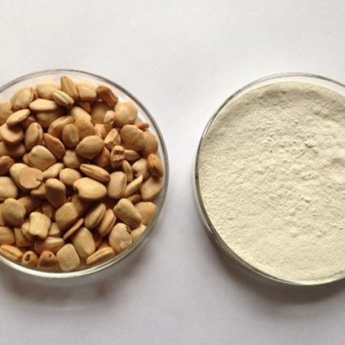 Tamarind Kernel Powder