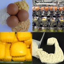 Egg Powder