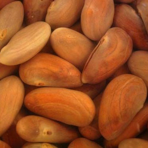 Frozen Jackfruit Seeds