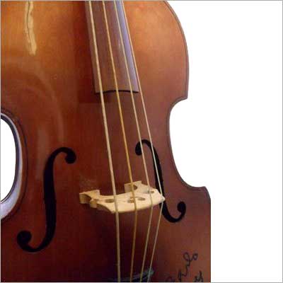 Upright Double Bass Gut Strings