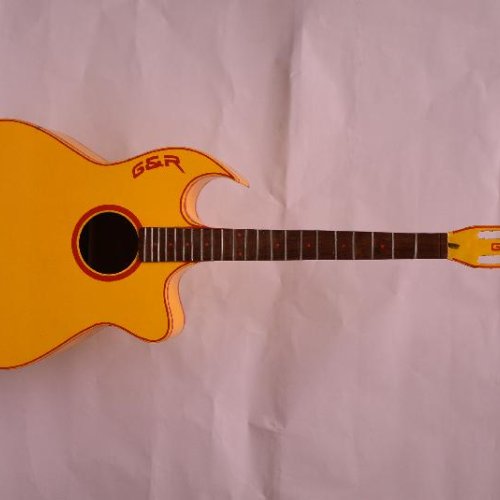 Horn Rose Semi Electric Guitar