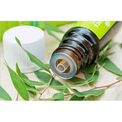 Tea Tree Essential Oil