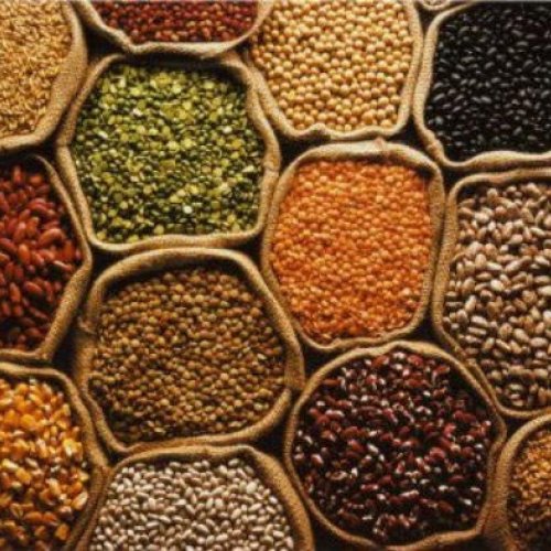 Food Grains