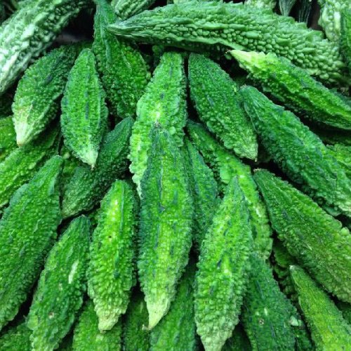 Fresh Bitter Gourd