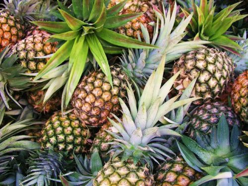 fresh pineapple