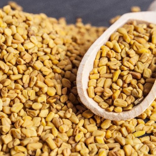 Fenugreek Seeds