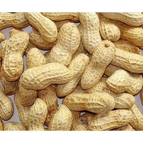 Shelled Groundnuts