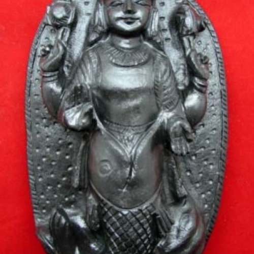 Shaligram Vishnu Idol