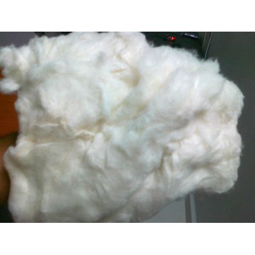 Cotton Comber Noil  Waste