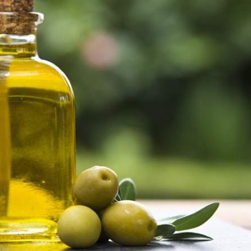 Olive Oil