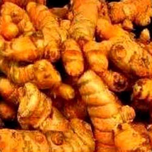 Turmeric Fingers 