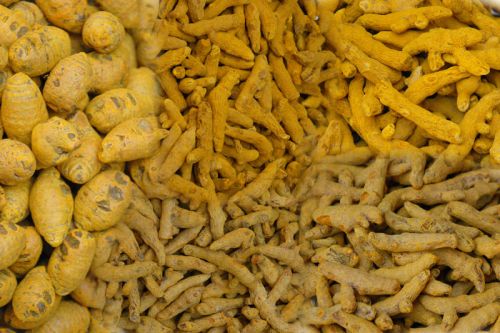 Turmeric Fingers