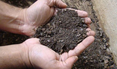 Organic Manure