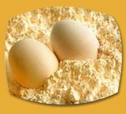 Egg Powder