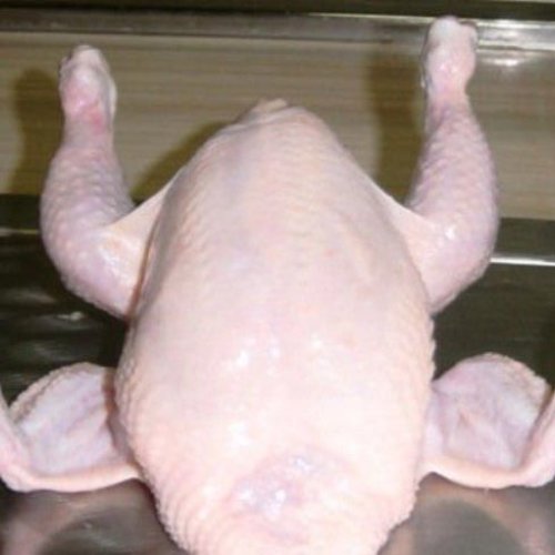 Frozen Chicken
