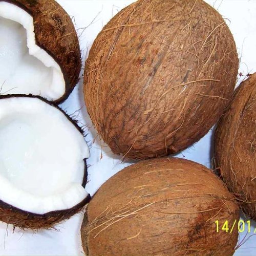 Husked Coconut