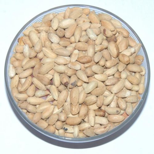 Neem Seeds