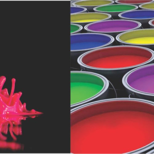 Polymer Paint Additives