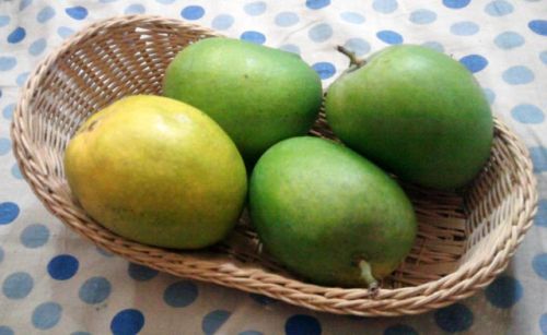 Fresh Mango