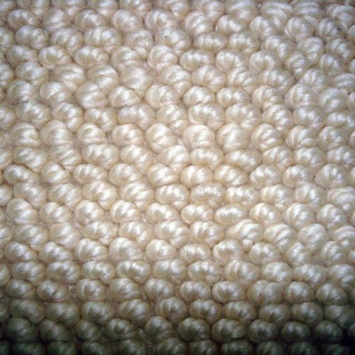 Wool Shag Carpet