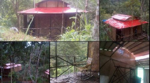 Low Cost Bamboo Cottage