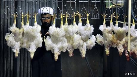 Non Vegetarian Halal Certification Service 01