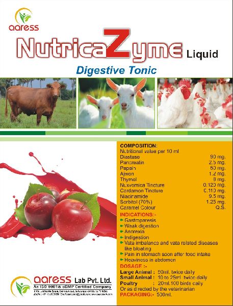 Nutrica Zyme Digestive Tonic Supplement