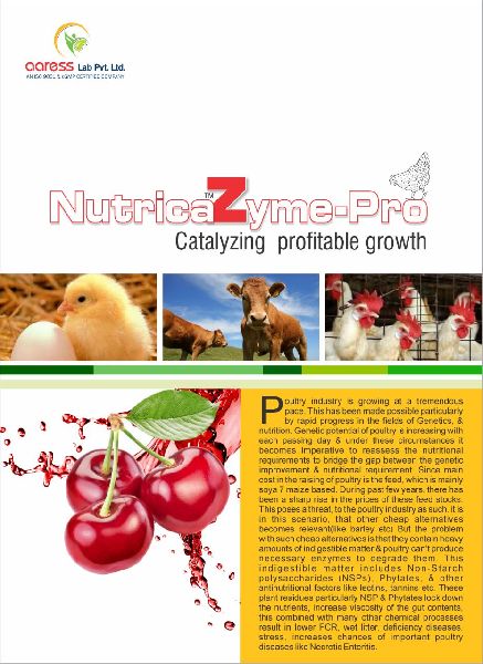 Nutrica Zyme Pro Supplement