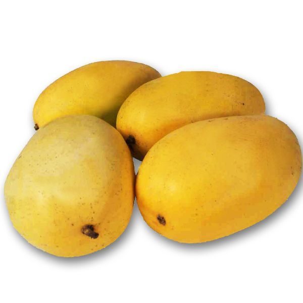 Fresh Mango 02