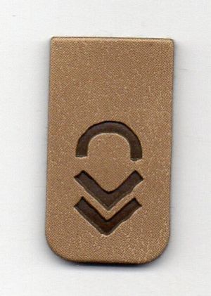 Embossed Jean Label 09