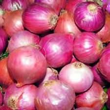 Pink Onion 04