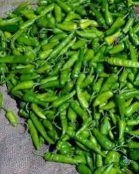 Fresh Green Chilli 01
