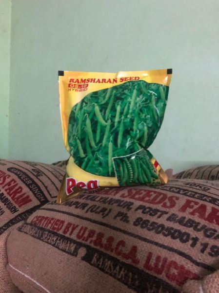 Green Peas Seed 01