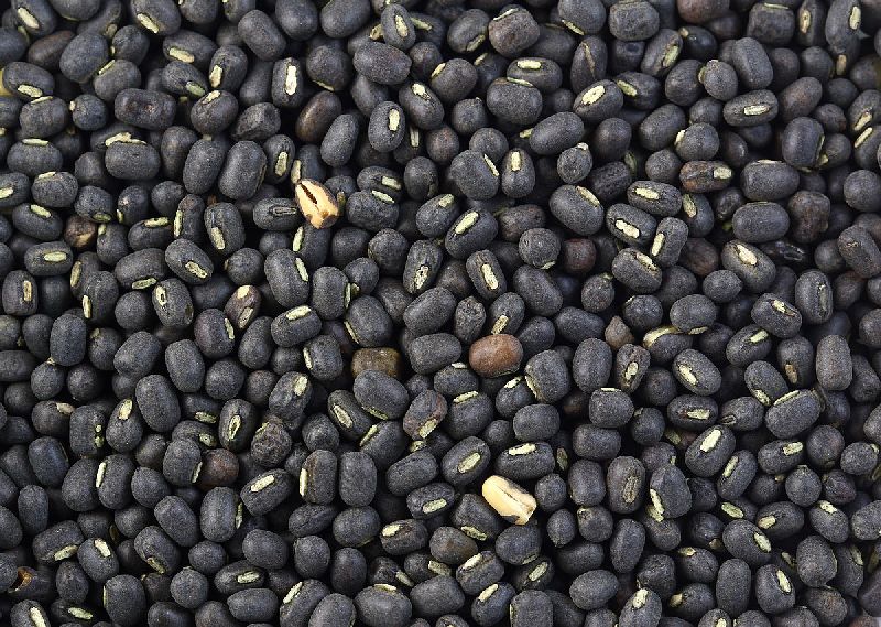 Whole Urad Dal 01