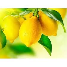 Fresh Lemon 01