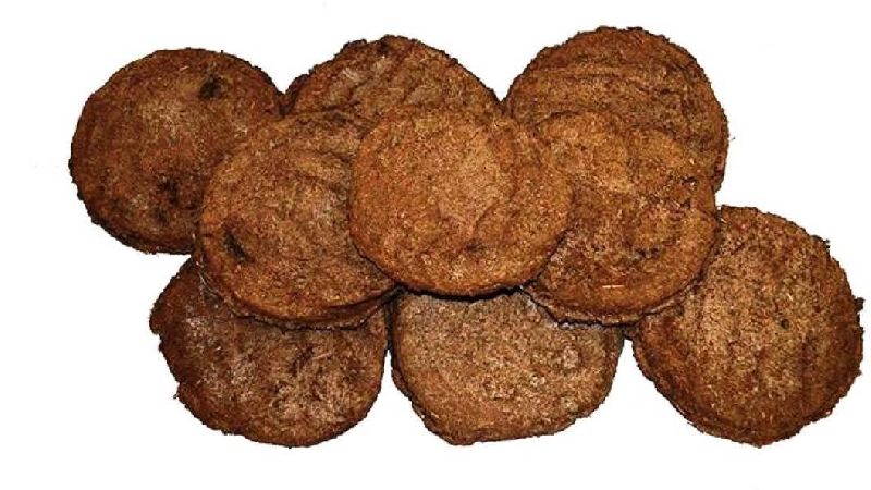 Cow Dung Cakes
