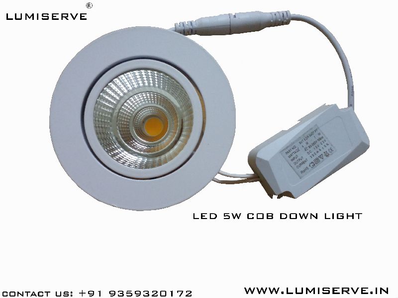 5 W COB Down Light