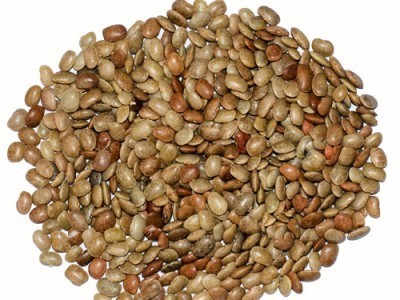 Kulthi Horse Gram